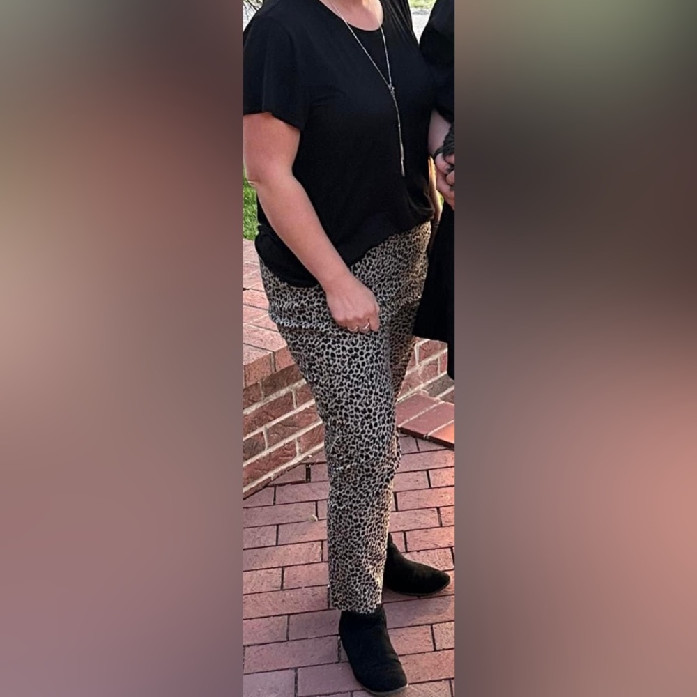 Cheetah Print Dress Ankle Pants Size 16 A New Day Brand